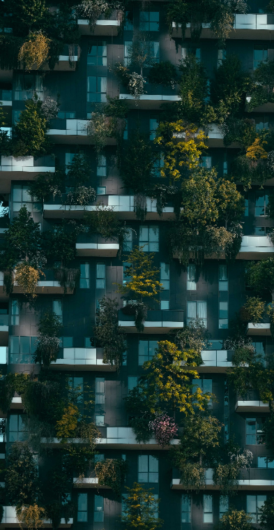 ESG Picture To Website