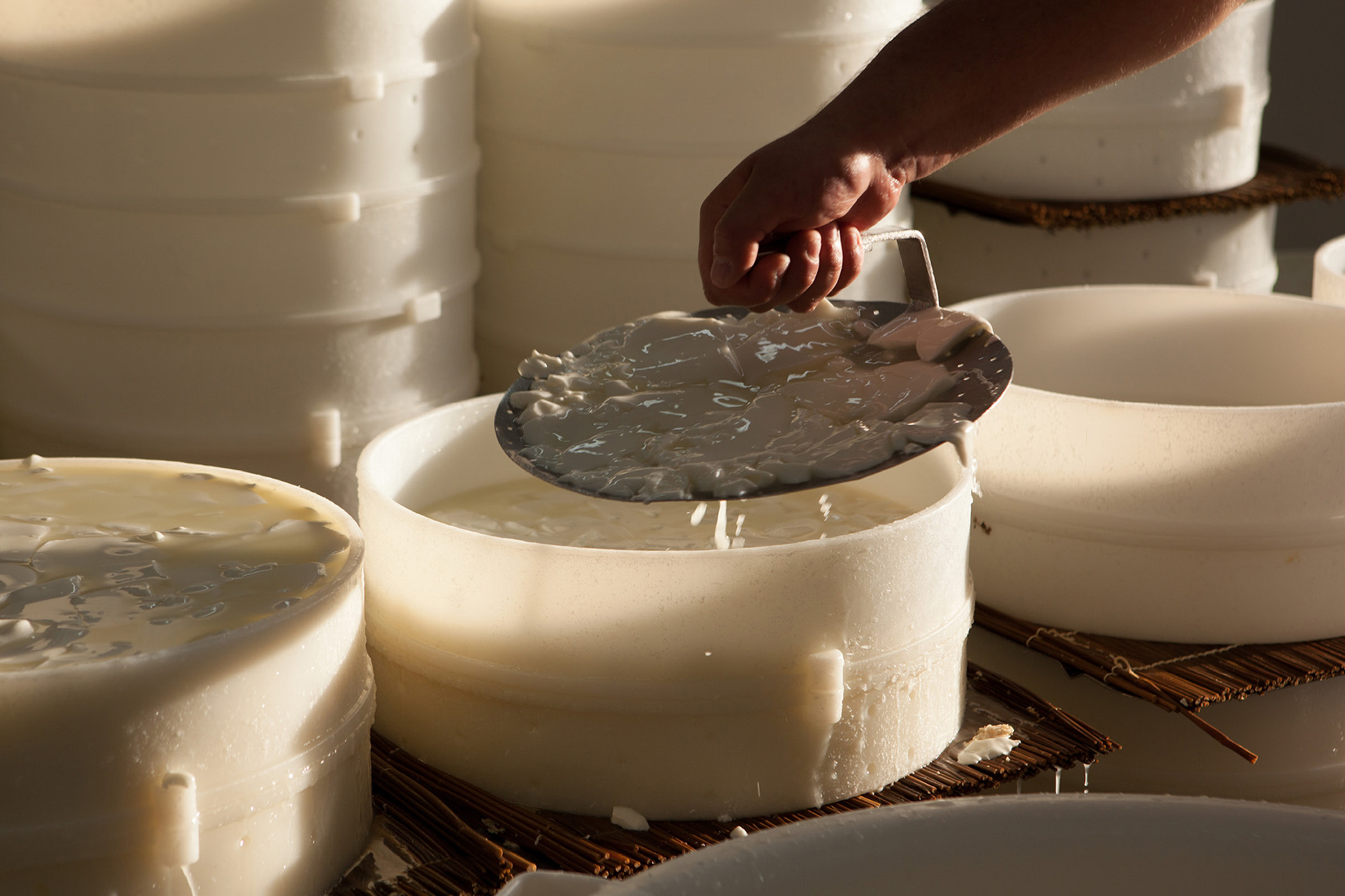 Brie Ferme des Trente Arpents