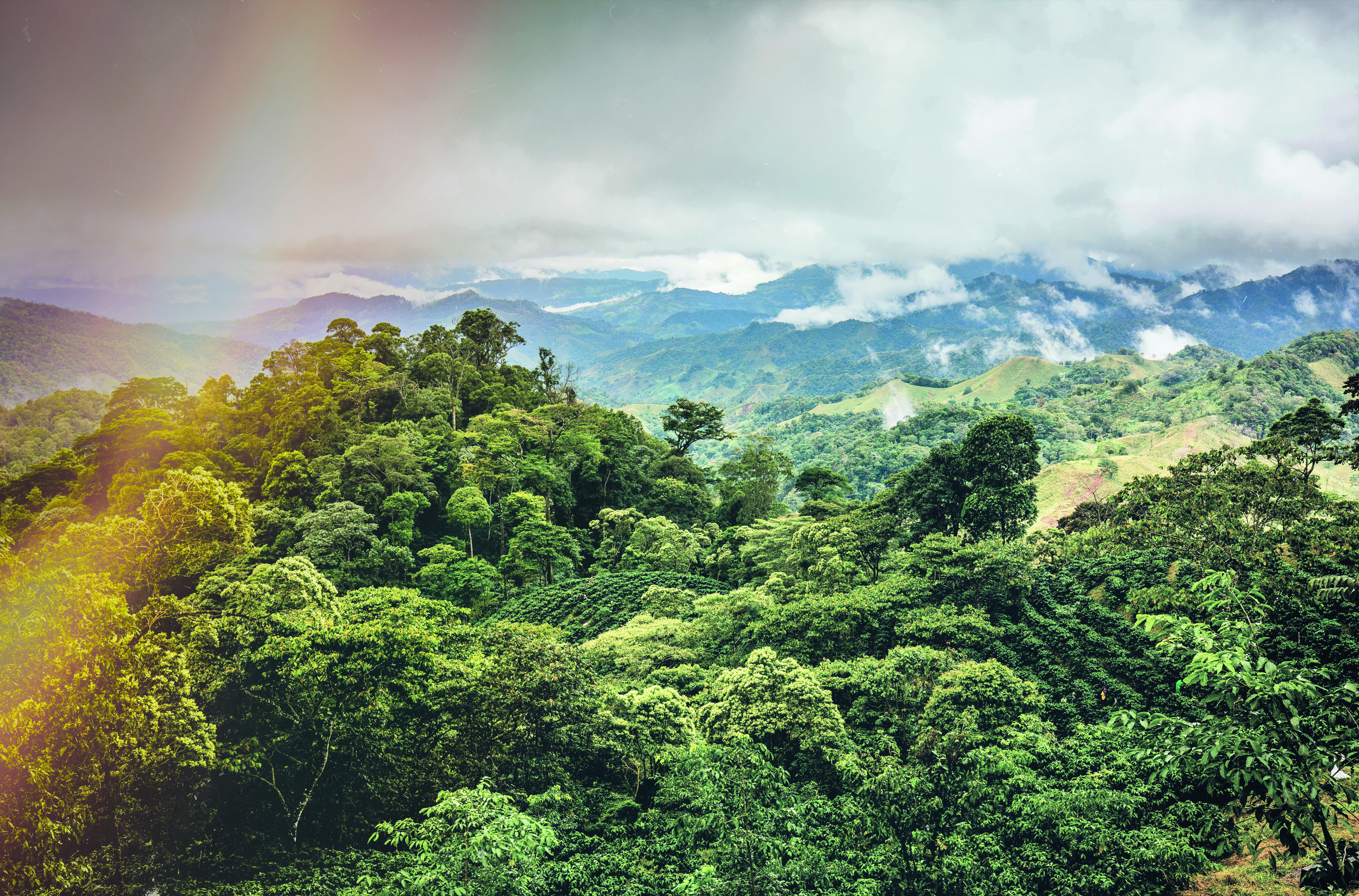 The SRI Chronicles : Good news for COP 30, starting with “cheaper, baby, cheaper!”