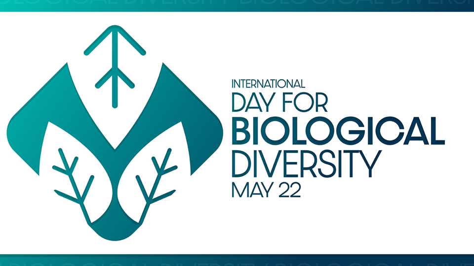 2023, YEAR OF BIODIVERSITY
